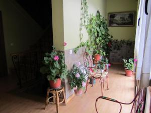 un gruppo di sedie e piante in vaso in una stanza di Hotel Rural El Molinero de Santa Colomba de Somoza a Santa Colomba de Somoza