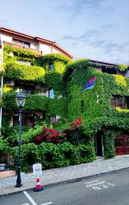 a building covered in ivy next to a street light at Family Hotel More in Sozopol