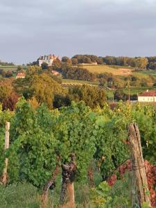Gallery image of Clair de Vigne in Monbazillac