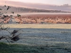Gallery image of Clair de Vigne in Monbazillac +6 photos