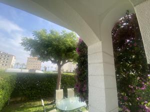 A garden outside R17 Casa MERCÉ RODOREDA