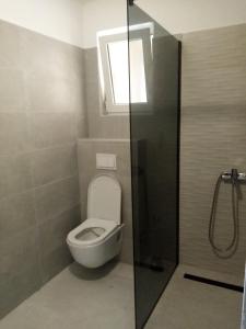 a bathroom with a toilet with a window and a shower at NATALIJA - holiday house with garage in Sveti Juraj