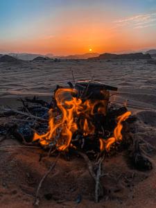 Foto dalla galleria di Wadi Rum Silk Road Camp a Wadi Rum Altre 112 foto