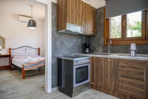 a kitchen with wooden cabinets and a stove top oven at DANAI HOUSE 3 in Nea Roda