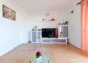 TV/Unterhaltungsangebot in der Unterkunft Apartments Opsenica
