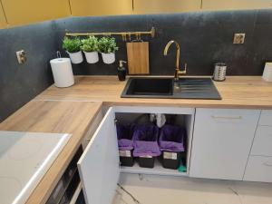 Kuchyňa alebo kuchynka v ubytovaní Super Centrum Szymborskiej 2 z parkingiem podziemnym Apartamenty LUNA Bialystok