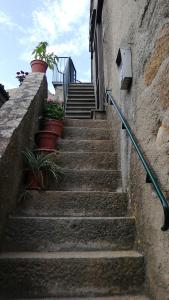 Gallery image of alcastello - Casamatta via Dante Alighieri,36 in Isola del Giglio +16 photos