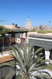 a palm tree in front of a building at Riad Zaouia 44 in Marrakesh