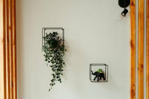 Zdjęcie z galerii obiektu La Villetta SPA -logement atypique w Miluzie