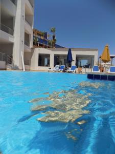 a turtle in the water in a swimming pool at Jewel Sharm El Sheikh Hotel in Sharm El Sheikh