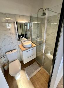 een badkamer met een toilet, een wastafel en een douche bij maison chaleureuse en plein coeur du centre ville in Saint-Florent