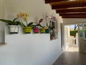 Fotografia z galérie ubytovania Casa a dos minutos caminando del mar v destinácii Denia