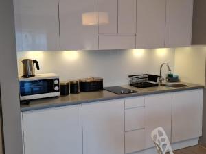 ビストシツァ・クウォツカにあるCzarna Góra Livigno 2の白いキャビネットとシンクと電子レンジを備えたキッチン
