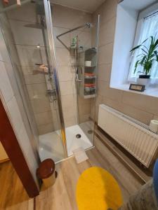 a shower with a glass door in a bathroom at CARPE DIEM in Ryžoviště