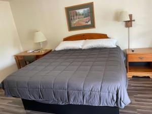 Ce lit se trouve dans un dortoir doté de 2 tables de nuit et de 2 lampes. dans l'établissement PINE VALLEY MOTEL, à Spruce Pine