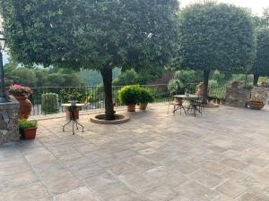 A garden outside Appartamento in villa - Maria Grazia