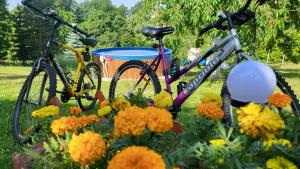 Attività di ciclismo presso la casa vacanze o nelle vicinanze