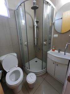 a bathroom with a shower and a toilet and a sink at Cabañas Habitainer in Pucón