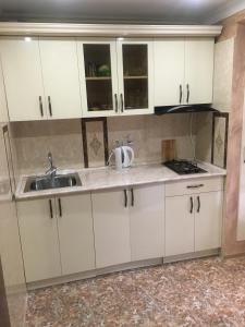 Kuchyň nebo kuchyňský kout v ubytování DILIJAN Apartment