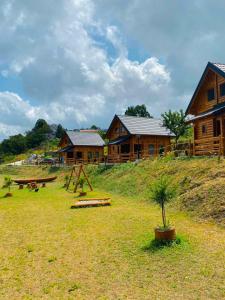 a log cabin with a picnic table in a field at FOREST&LAKE COTTAGES in Virpazar