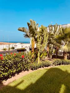 Zahrada ubytování Tamuda Bay- Alcudia Smir - Fnideq