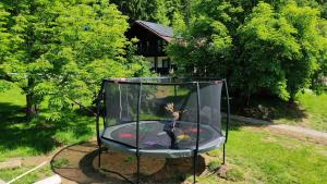 a person is trapped in a trampoline at Altes Forsthaus Bodenmais in Bodenmais