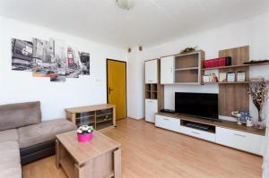 a living room with a couch and a tv at Apartments Opsenica in Barbat na Rabu