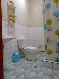 a bathroom with a toilet and a shower curtain at Luxor in Arequipa