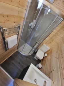 a bathroom with a sink and a glass shower at Caledonian Pod. In Caol, Fort William in Caol