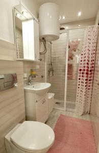 een badkamer met een toilet, een wastafel en een douche bij Dživdžan in Vrnjačka Banja