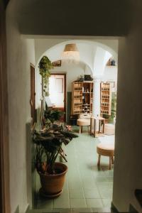 a hallway with a potted plant in a room at Hostal Africa in Tarifa
