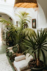 a room filled with potted plants on a tile floor at Hostal Africa in Tarifa