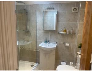 a bathroom with a shower and a sink and a toilet at THE CARRIAGE HOUSE in Woodhorn