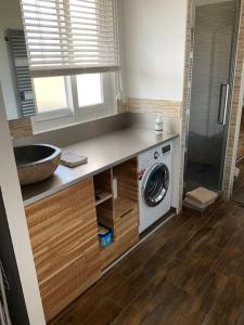 ein Badezimmer mit einem Waschbecken und einer Waschmaschine in der Unterkunft Maison indépendante, domaine VICHY LA TOUR in Abrest