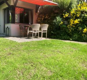 Zahrada ubytování Big Apartment with garden Rapperswil-Jona