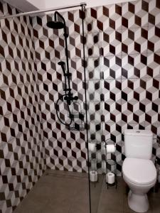 a bathroom with a toilet and a shower with checkered walls at Apartament Janka in Zator