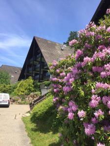 einen Busch rosa Blumen vor einem Gebäude in der Unterkunft On the hill in Sasbachwalden