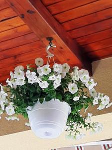 Kép Villa Csilla elegant house szállásáról Érden a galériában