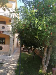 Zahrada ubytování Slim apartman i sobe