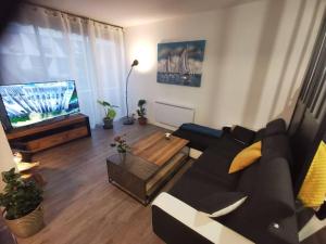 Televízia a/alebo spoločenská miestnosť v ubytovaní Appartement de 50m2 à 2 pas du port et plage!