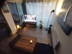 Televízia a/alebo spoločenská miestnosť v ubytovaní Appartement de 50m2 à 2 pas du port et plage!