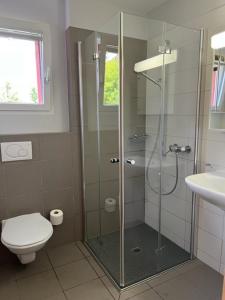 ミュスタイアにあるPauraria Puntettaのバスルーム(シャワー、トイレ、洗面台付)