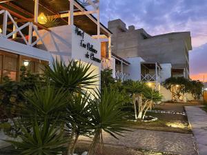 een gebouw met een bos planten ervoor bij Delfines de Chicama Hotel in Puerto Chicama