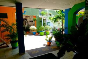 Gallery image of Hostal Casa Verde in Santa Ana