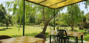 Jardí fora de Sa Stella E Monti