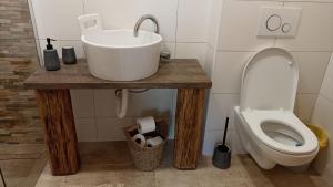 a bathroom with a sink and a toilet at Pension Špejchar u Vojty in Holašovice