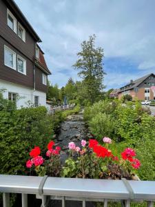un jardín con flores rojas en una pasarela en Tami's Harzglück, en Braunlage