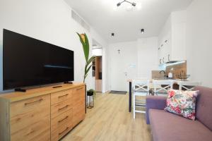 a living room with a flat screen tv on a wooden dresser at Apartament Rogowo 117L in Rogowo