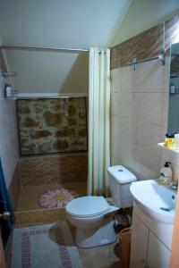 een badkamer met een toilet en een wastafel bij Michael Apartment in Áyios Andréas Messinias