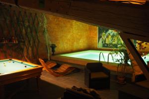 a pool room with a pool table and a pool table at Chambres d'Hôtes Le relais des marmottes in Lagnes